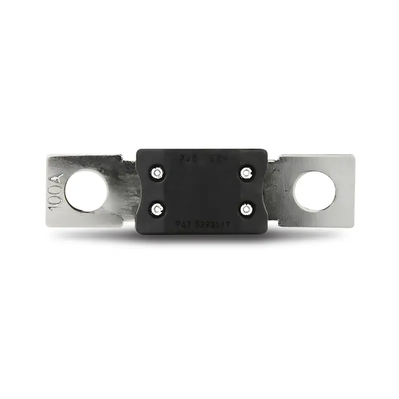 Dna Mega100a Mega Anm Fuse - 100 Amp 1