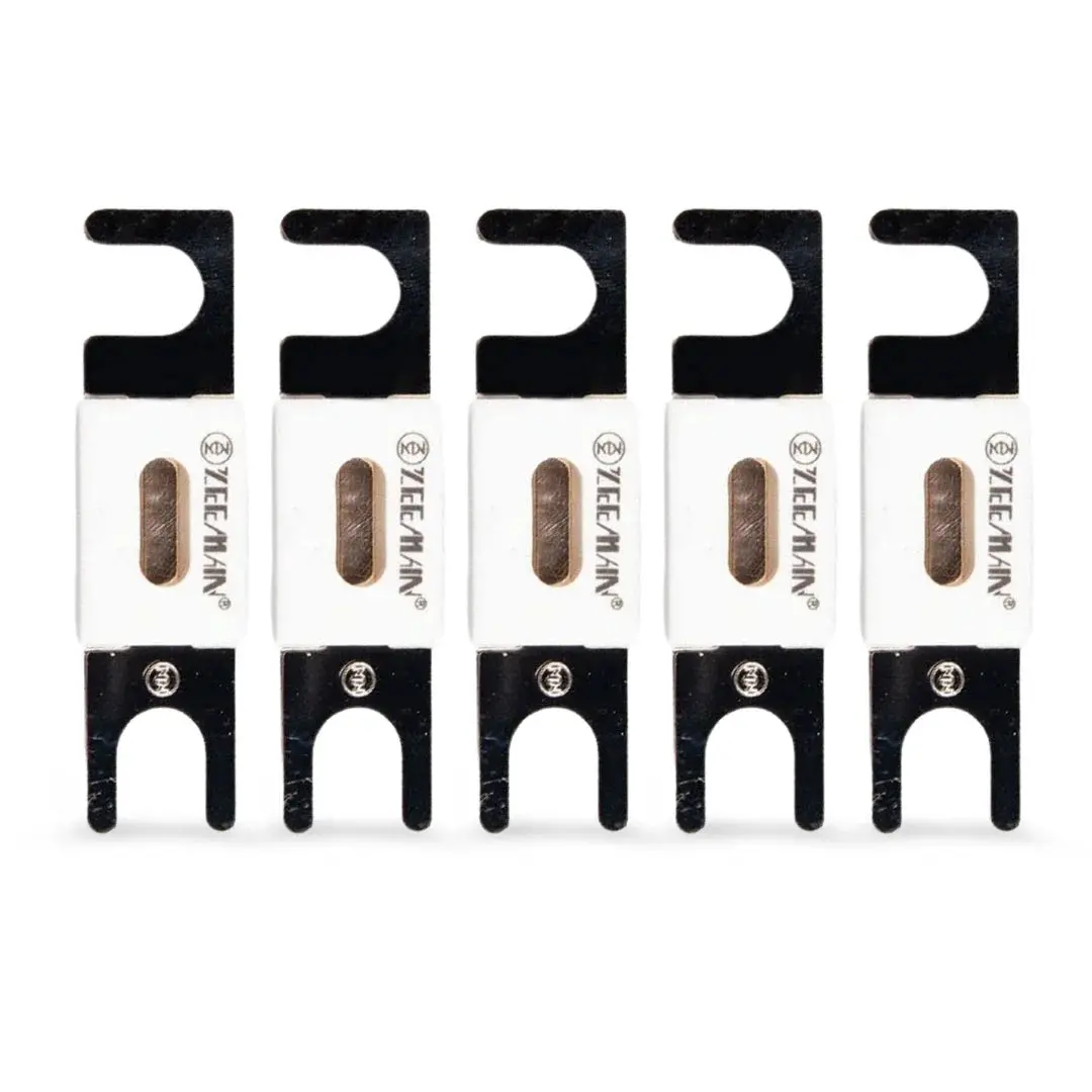 Victron Energy Cip143300020 | 300A/80V Anl-Fuse  | Package Of 5 Pcs 1