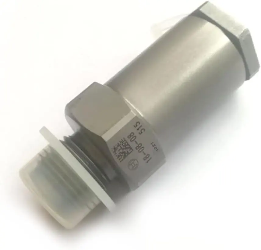1110010033 Pressure Relief Valve For Bosch Iveco Renault F00r000756 1