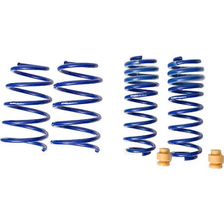 2005-2014 Ford Mustang V6 + V8 Extreme Lowering Springs By Roush Performance 1