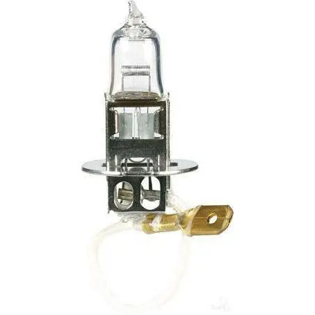 Oex Glx16580 H3 Globe 12V 55W Standard - 1 Pce 1