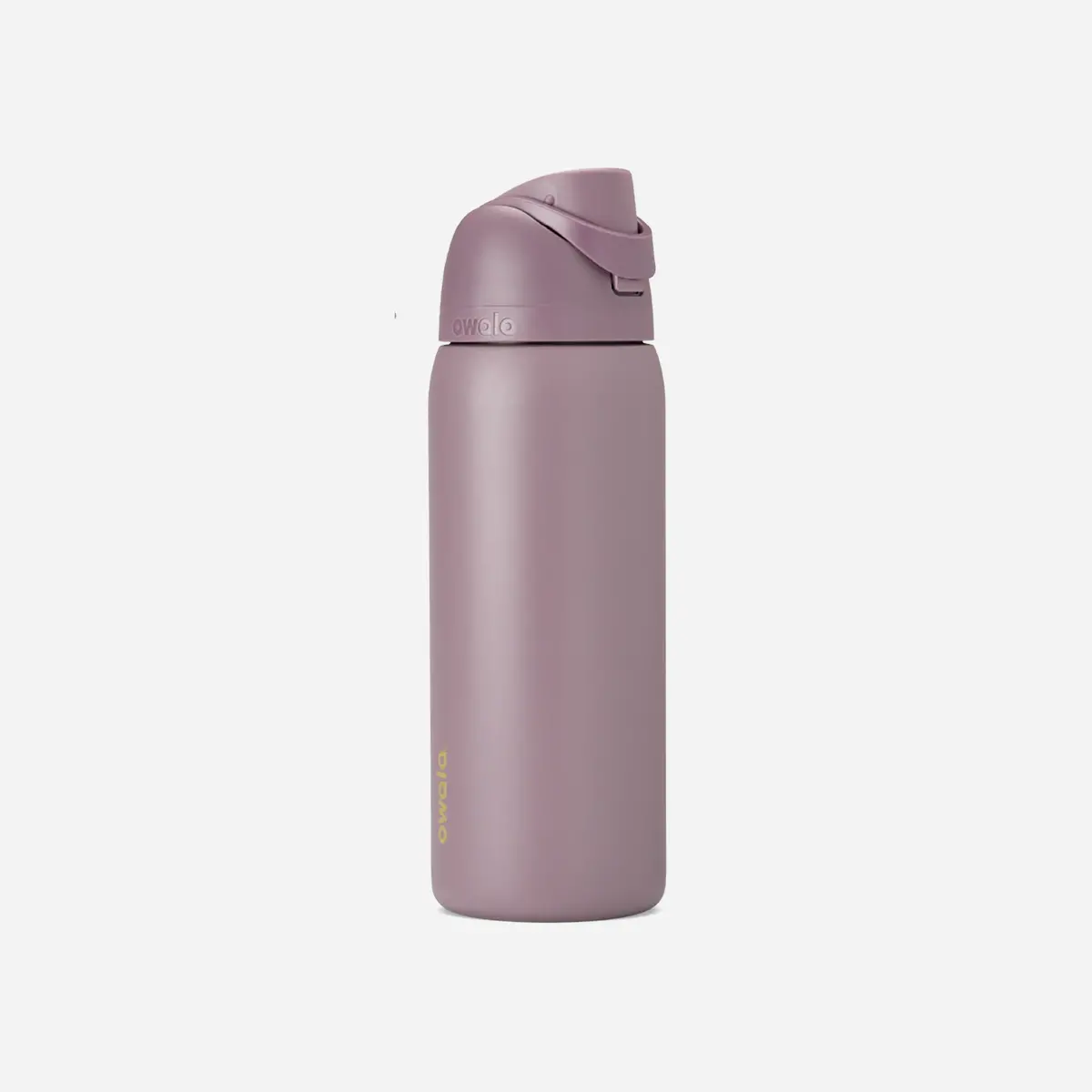 Owala Freesip 32Oz Stainless Steel Water Bottle Spring Revival 1