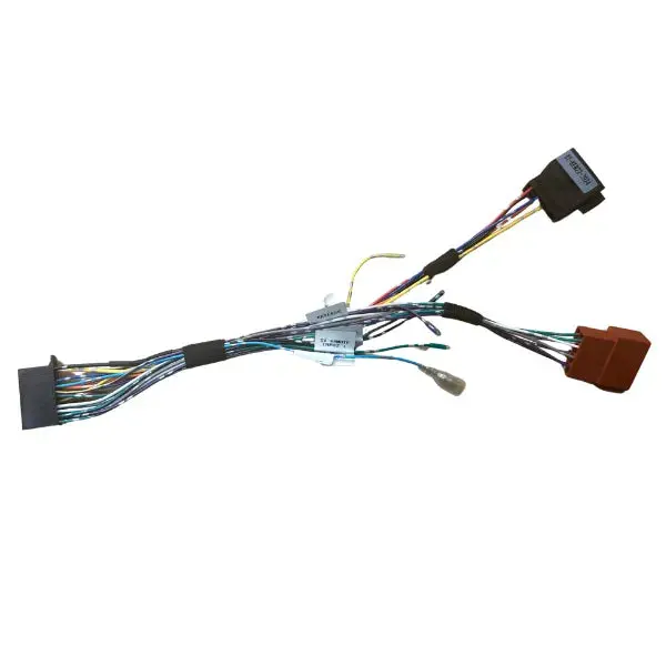 Kenwood Cph-Ken24 22-Pin Aftermarket Radio Iso Harness 2024 1