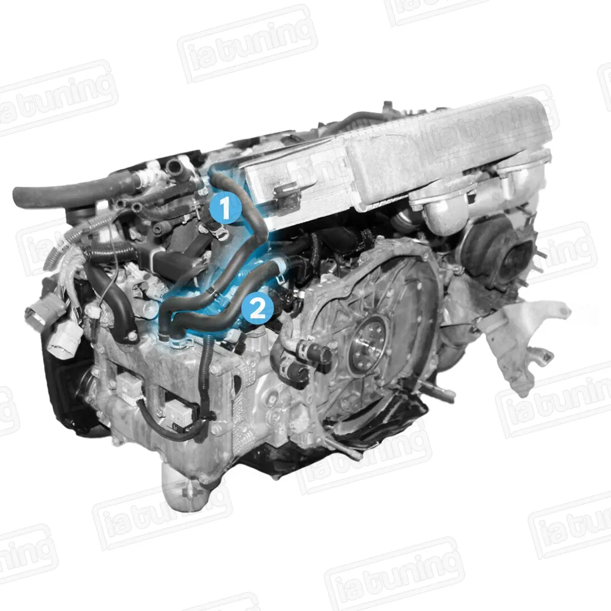 Pcv Hose - Left Valve Cover To Tmic 2