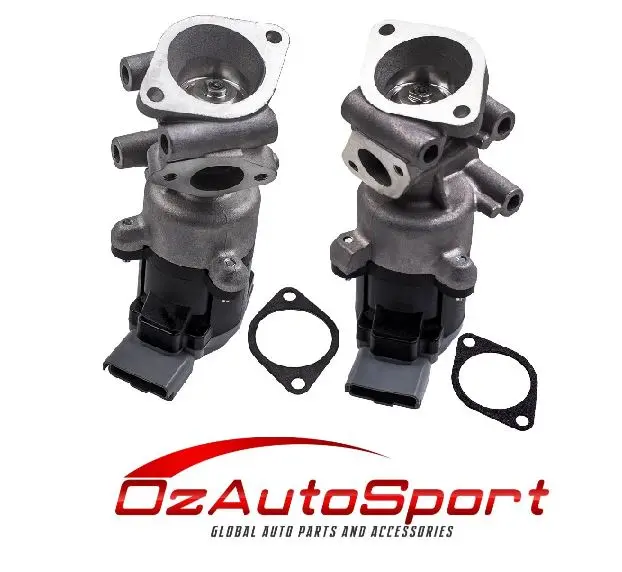 Left & Right Egr Valves For Jaguar S-Type Xf Xj 2.7 D 2004-2015 1