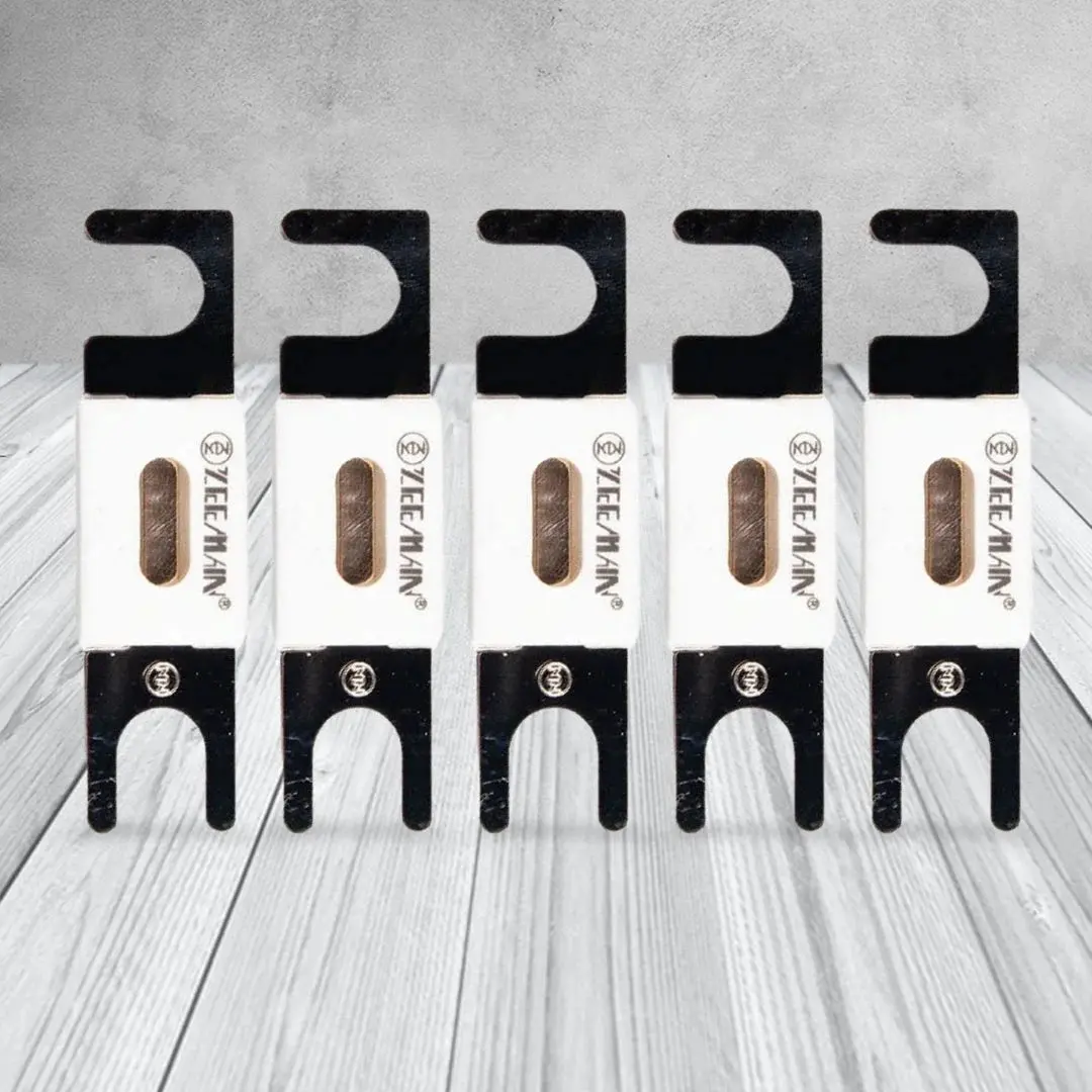 Victron Energy Cip143300020 | 300A/80V Anl-Fuse | Package Of 5 Pcs 2