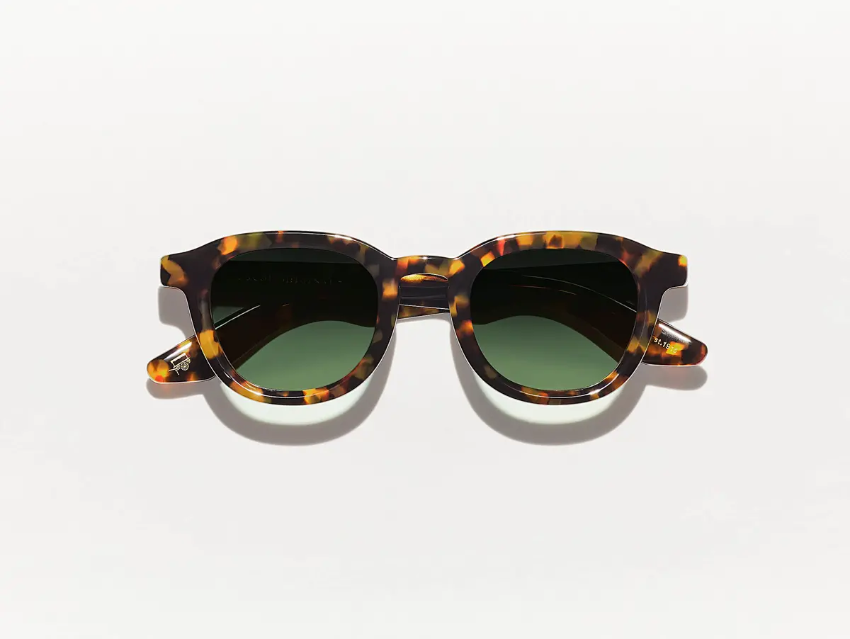 Dahven Polychrome Tortoise 1