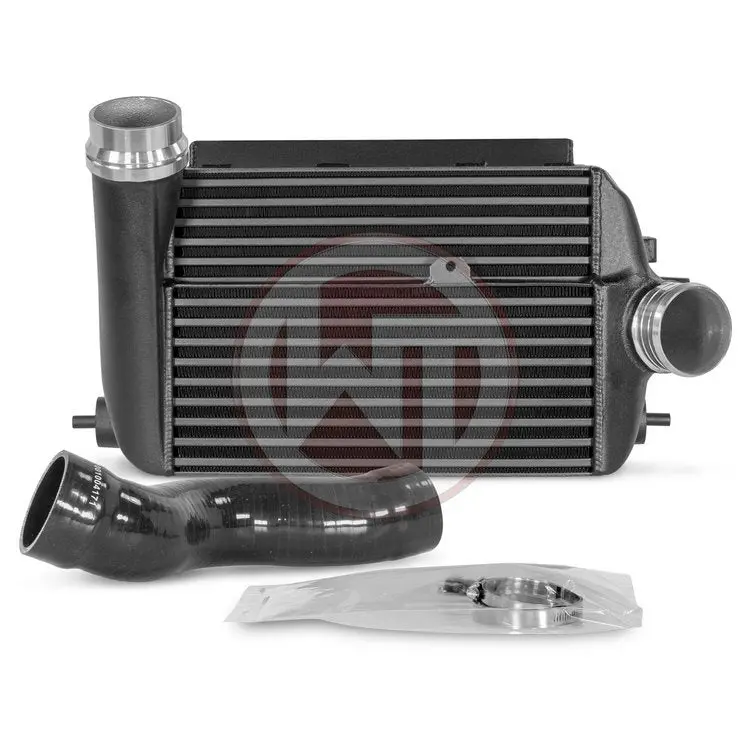 Intercooler Wagner Renault Megane 4Rs 1