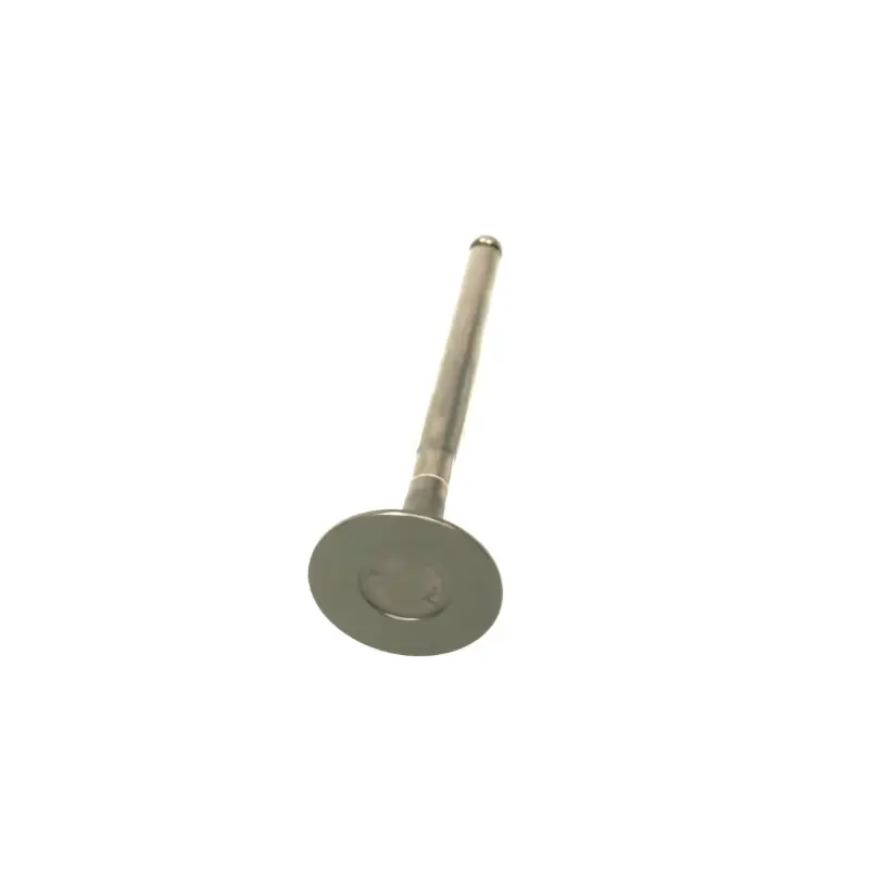 Toyota Land Cruiser Exhaust Valve 1
