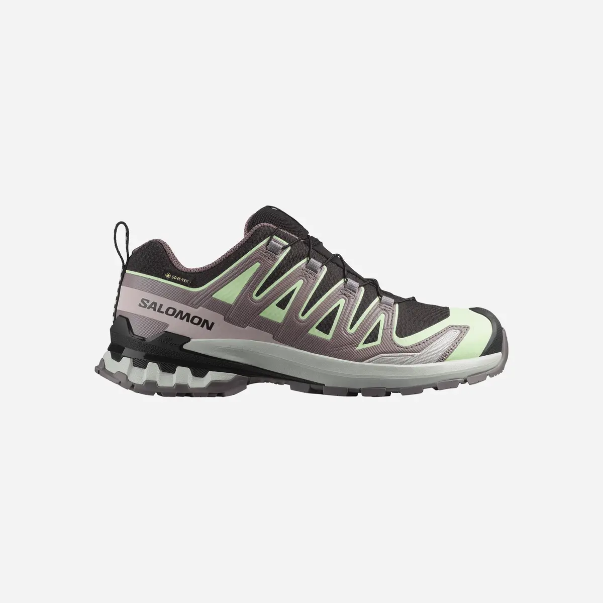 Salomon Xa Pro 3D V9 Gore-Tex Black Patina Green Wmns 1